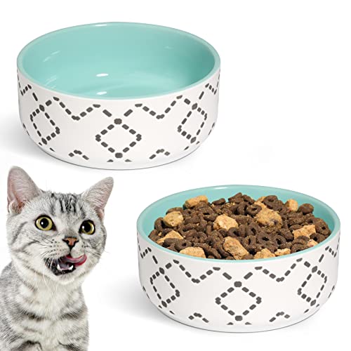 MSBC Ceramic Cat Bowls(13oz/390ml), Cute Cat Food and Water Feeder Set, Dog Cat Basic Bowl, Small Pet Feeding Dishes for Cat, Kitten, Small Dog, Whisker Stress Free, Dishwasher Safe, Set of 2, Blue