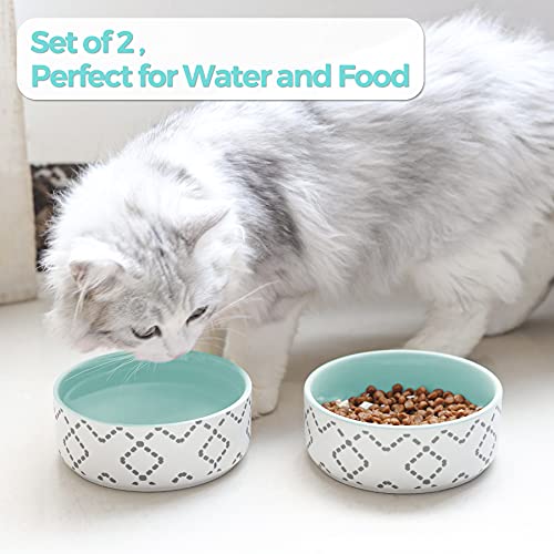 MSBC Ceramic Cat Bowls(13oz/390ml), Cute Cat Food and Water Feeder Set, Dog Cat Basic Bowl, Small Pet Feeding Dishes for Cat, Kitten, Small Dog, Whisker Stress Free, Dishwasher Safe, Set of 2, Blue