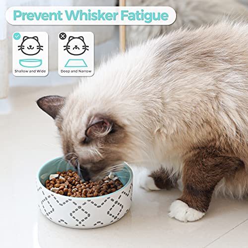 MSBC Ceramic Cat Bowls(13oz/390ml), Cute Cat Food and Water Feeder Set, Dog Cat Basic Bowl, Small Pet Feeding Dishes for Cat, Kitten, Small Dog, Whisker Stress Free, Dishwasher Safe, Set of 2, Blue