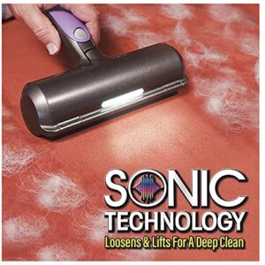 SONIC TECHNOLOGY Fur Daddy