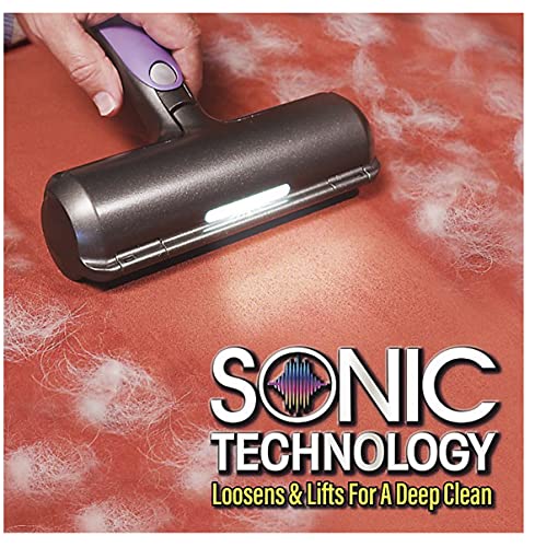 SONIC TECHNOLOGY Fur Daddy