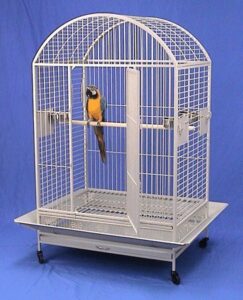 extra large wrought iron bird cage parrot cages macaw dometop 36"x26"x65" (egg shell white)