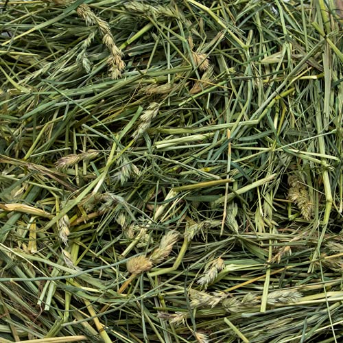 Rabbit Hole Hay Ultra Premium, Hand Packed Coarse Orchard Grass for Your Small Pet Rabbit, Chinchilla, or Guinea Pig (12oz)