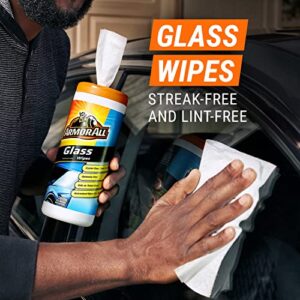 Car Protectant Wipes, Disinfectant Wipes, Glass Cleaner Wipes by Armor All, Cleaning Wipes Variety Pack for Cars, Trucks, Motorcycles, , (Pack of 3)