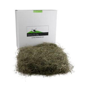 rabbit hole hay ultra premium, hand packed mountain grass for your small pet rabbit, chinchilla, or guinea pig (40lb)