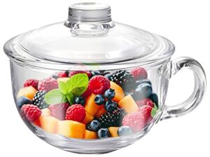 glass cereal bowl glass soup bowl with handle, clear small bowls with glass lid oatmeal breakfast bowls microwave safe glassware yogurt bowl for dessert pasta rice,500ml/16 oz
