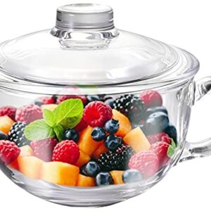 Glass Cereal Bowl Glass Soup Bowl with Handle, Clear Small Bowls with Glass Lid Oatmeal Breakfast Bowls Microwave Safe Glassware Yogurt Bowl for Dessert Pasta Rice,500ml/16 oz