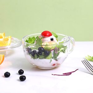 Glass Cereal Bowl Glass Soup Bowl with Handle, Clear Small Bowls with Glass Lid Oatmeal Breakfast Bowls Microwave Safe Glassware Yogurt Bowl for Dessert Pasta Rice,500ml/16 oz