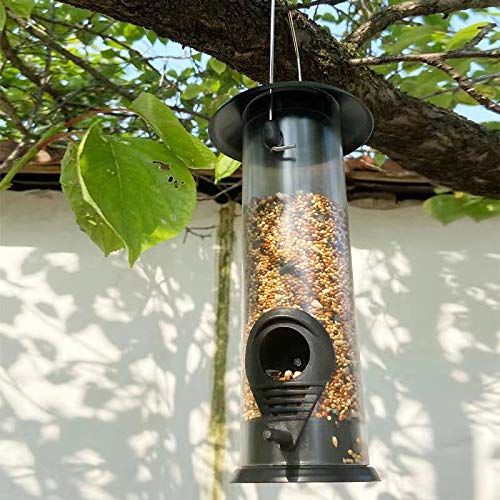 Suspension Automatic Bird Feeder