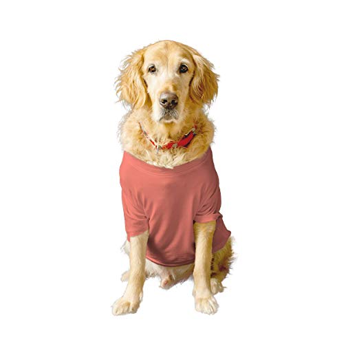 Ruse- Basic Summer Dog T-Shirt Solid Pets Crew Neck Half Sleeves Shirt/Apparel/Clothes/Tees Gift for Dogs(Salmon)/Small (Apso, Shih Tzu etc.)