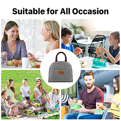 DANIA & DEAN Durable Insulated Lunch Bag for Women/Men/Kids Double Zippers Wide Open Bag Leakproof Thermal and Cooler Reusable Lunch Box for Office School Outdoor (Black and White Stripes)