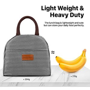 DANIA & DEAN Durable Insulated Lunch Bag for Women/Men/Kids Double Zippers Wide Open Bag Leakproof Thermal and Cooler Reusable Lunch Box for Office School Outdoor (Black and White Stripes)