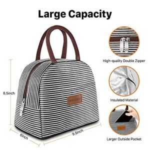 DANIA & DEAN Durable Insulated Lunch Bag for Women/Men/Kids Double Zippers Wide Open Bag Leakproof Thermal and Cooler Reusable Lunch Box for Office School Outdoor (Black and White Stripes)