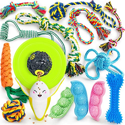 SHARLOVY Dog Chew Toys for Puppies Teething, Puppy Toys 16 Pack Dog Toys for Aggressive Chewers Puppy Chew Toys Peas Rubber Bone Dog Toy Bundle Small Dog Squeaky Toys for Small Dogs