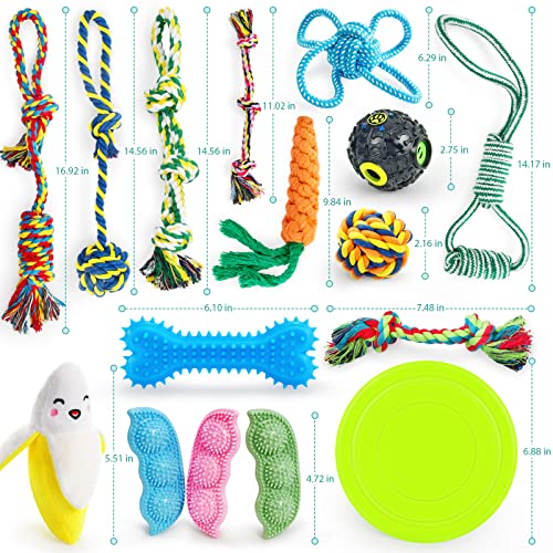 SHARLOVY Dog Chew Toys for Puppies Teething, Puppy Toys 16 Pack Dog Toys for Aggressive Chewers Puppy Chew Toys Peas Rubber Bone Dog Toy Bundle Small Dog Squeaky Toys for Small Dogs