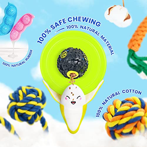 SHARLOVY Dog Chew Toys for Puppies Teething, Puppy Toys 16 Pack Dog Toys for Aggressive Chewers Puppy Chew Toys Peas Rubber Bone Dog Toy Bundle Small Dog Squeaky Toys for Small Dogs