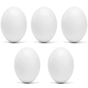 WOLEDOE 5Pcs Solid Plastic Parrot Fake Eggs, Keeping Them from Laying Anymore Eggs, Suit for Medium and Large Parrots, Pigeon, African Grey, Caique, Cockatoo, Sun Conures and Mini Macaw