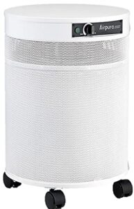 airpura r600 air purifier the everyday air purifier,this air purifier has been proven to eliminate a wide range of airborne particles and odors leaving only clean and fresh air.