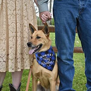 NC YHTWIN I'm Going to Be a Big Brother Dog Bandanas, Pet Baby Bulletin Plaid Dog Scarf, Gender Revealing Photo Props, Pet Dog Photo Props Accessories