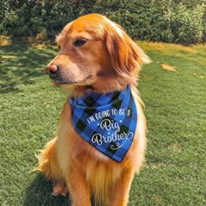 NC YHTWIN I'm Going to Be a Big Brother Dog Bandanas, Pet Baby Bulletin Plaid Dog Scarf, Gender Revealing Photo Props, Pet Dog Photo Props Accessories