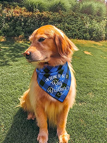 NC YHTWIN I'm Going to Be a Big Brother Dog Bandanas, Pet Baby Bulletin Plaid Dog Scarf, Gender Revealing Photo Props, Pet Dog Photo Props Accessories