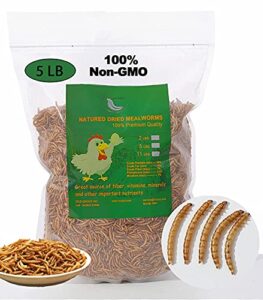 euchirus non-gmo high-protein large dried mealworms for chickens, natural grubs and poultry treats as chicken feed,duck food, wild birds seed,fish food,reptile food,amphibian food(mealworms-5lb)