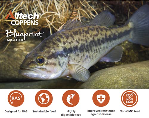 Alltech Coppens SP-15 5mm Floating Fish Food - Extruded Feed for All Pond-Raised Bluegill, Crappie, Catfish, Trout and Other Freshwater Fish - 44 LBs