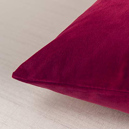 Elegant Comfort Pack of 2, Velvet Soft Solid Decorative Square Throw Pillow Covers Set Cushion Case for Sofa Bedroom Car, 20 x 20, Burgundy