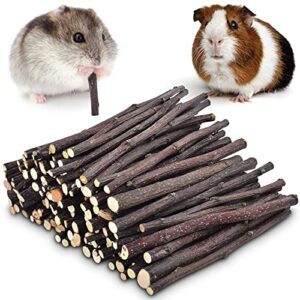 erkoon 300g or 500g natural apple sticks small animals molar chew toys apple branch chew treats for hamster rabbit chinchilla bunny guinea pig squirrel 
