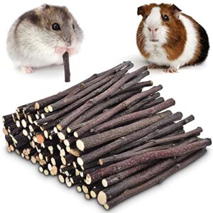 ERKOON 300g or 500g Natural Apple Sticks Small Animals Molar Chew Toys Apple Branch Chew Treats for Hamster Rabbit Chinchilla Bunny Guinea Pig Squirrel 