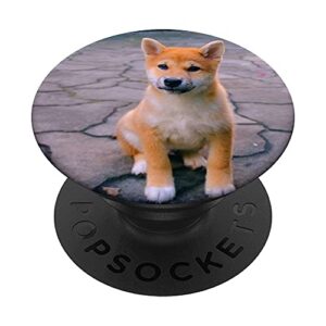 shiba inu dog lover popsockets swappable popgrip