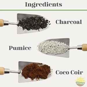 Terrarium Potting Soil Mix (4 Quarts), w/Blended Filtering Charcoal Custom Made for Terrariums