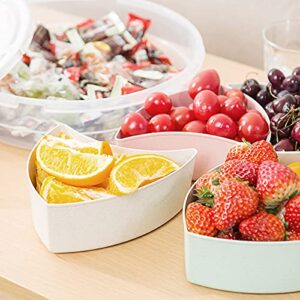 Divided Serving Tray Platter with Lid & Handle Storage Container - 5 Plastic Compartment Box Clear Organizer - for Candy, Fruits, Nuts, Snacks Parties Entertaining