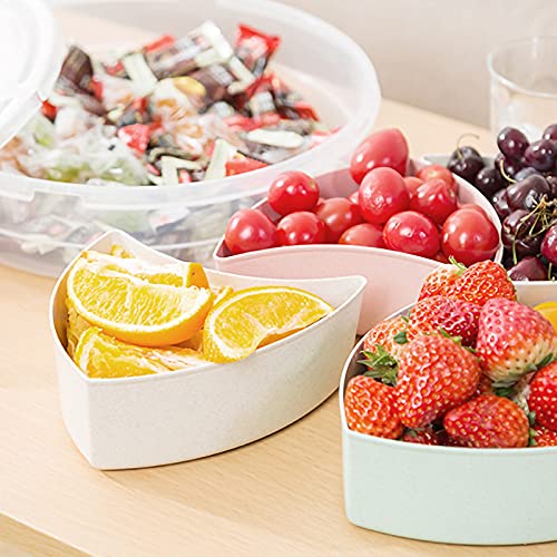 Divided Serving Tray Platter with Lid & Handle Storage Container - 5 Plastic Compartment Box Clear Organizer - for Candy, Fruits, Nuts, Snacks Parties Entertaining