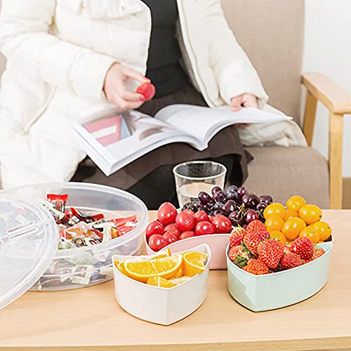 Divided Serving Tray Platter with Lid & Handle Storage Container - 5 Plastic Compartment Box Clear Organizer - for Candy, Fruits, Nuts, Snacks Parties Entertaining