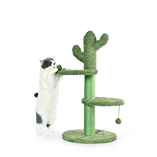 BOLUO Cat Scratching Post for Large Cats Tree Catcus Tall Cat Scratcher Posts Toy Cute Kitten Kitty Sisal Rope Scratch with Teaser Ball Outdoor 31 Inch