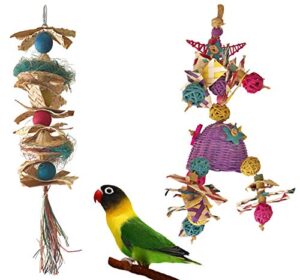 fetch-it pets 2 pack bird/parrot shazam & hat hat hooray foraging toys suitable for small parakeets, cockatiel, conures, finches, budgie, macaws, parrots, love birds