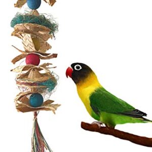 Fetch-It Pets 2 Pack Bird/Parrot Shazam & Hat Hat Hooray Foraging Toys Suitable for Small Parakeets, Cockatiel, Conures, Finches, Budgie, Macaws, Parrots, Love Birds