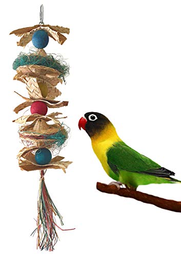 Fetch-It Pets 2 Pack Bird/Parrot Shazam & Hat Hat Hooray Foraging Toys Suitable for Small Parakeets, Cockatiel, Conures, Finches, Budgie, Macaws, Parrots, Love Birds