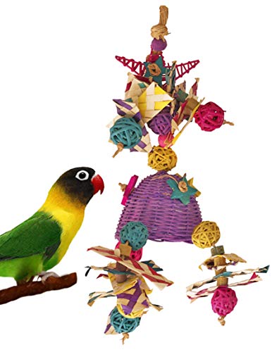 Fetch-It Pets 2 Pack Bird/Parrot Shazam & Hat Hat Hooray Foraging Toys Suitable for Small Parakeets, Cockatiel, Conures, Finches, Budgie, Macaws, Parrots, Love Birds