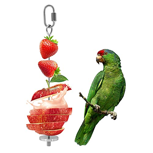 YIQUAN Bird Food Holder, 1PCS,Bird Feeders, Stainless Steel Parrot Fruit Vegetable Stick Holder, Foraging Toy (7.9inch)