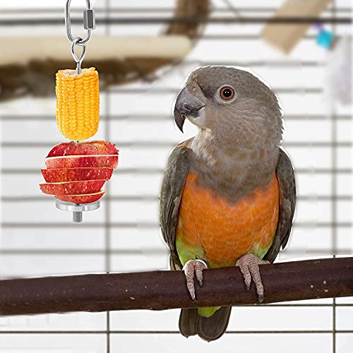 YIQUAN Bird Food Holder, 1PCS,Bird Feeders, Stainless Steel Parrot Fruit Vegetable Stick Holder, Foraging Toy (7.9inch)