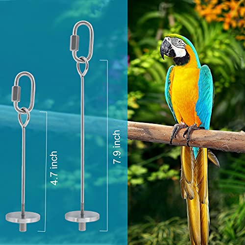 YIQUAN Bird Food Holder, 1PCS,Bird Feeders, Stainless Steel Parrot Fruit Vegetable Stick Holder, Foraging Toy (7.9inch)