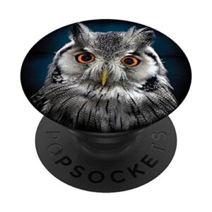 owl trendy cute animal face night birds lovers popsockets popgrip: swappable grip for phones & tablets