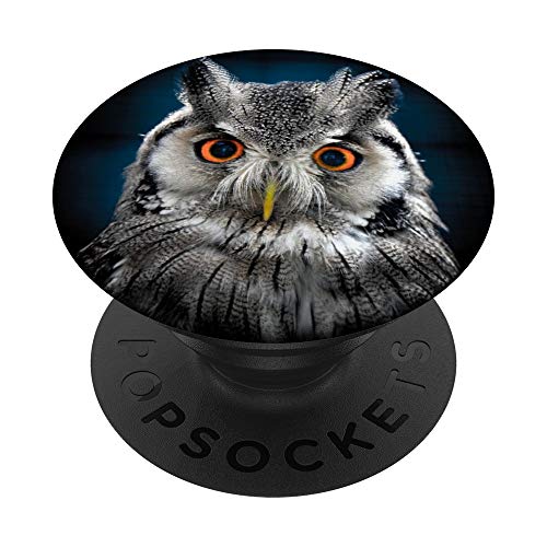 Owl Trendy Cute Animal Face Night Birds lovers PopSockets PopGrip: Swappable Grip for Phones & Tablets