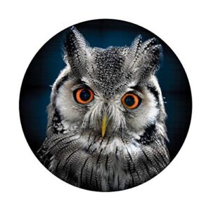 Owl Trendy Cute Animal Face Night Birds lovers PopSockets PopGrip: Swappable Grip for Phones & Tablets