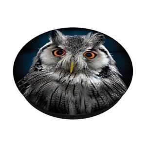 Owl Trendy Cute Animal Face Night Birds lovers PopSockets PopGrip: Swappable Grip for Phones & Tablets