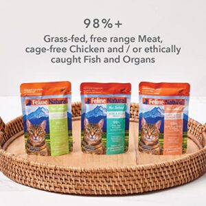 Feline Natural Variety Pack Grain-Free Pouch Cat Food