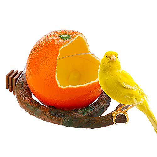 Bird Feeder Fruit Shape with Clamp Holder Cage-Pet Food & Water Bowl Parrot Food Box Cage Decoration (Orange Shape)