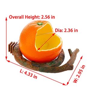 Bird Feeder Fruit Shape with Clamp Holder Cage-Pet Food & Water Bowl Parrot Food Box Cage Decoration (Orange Shape)